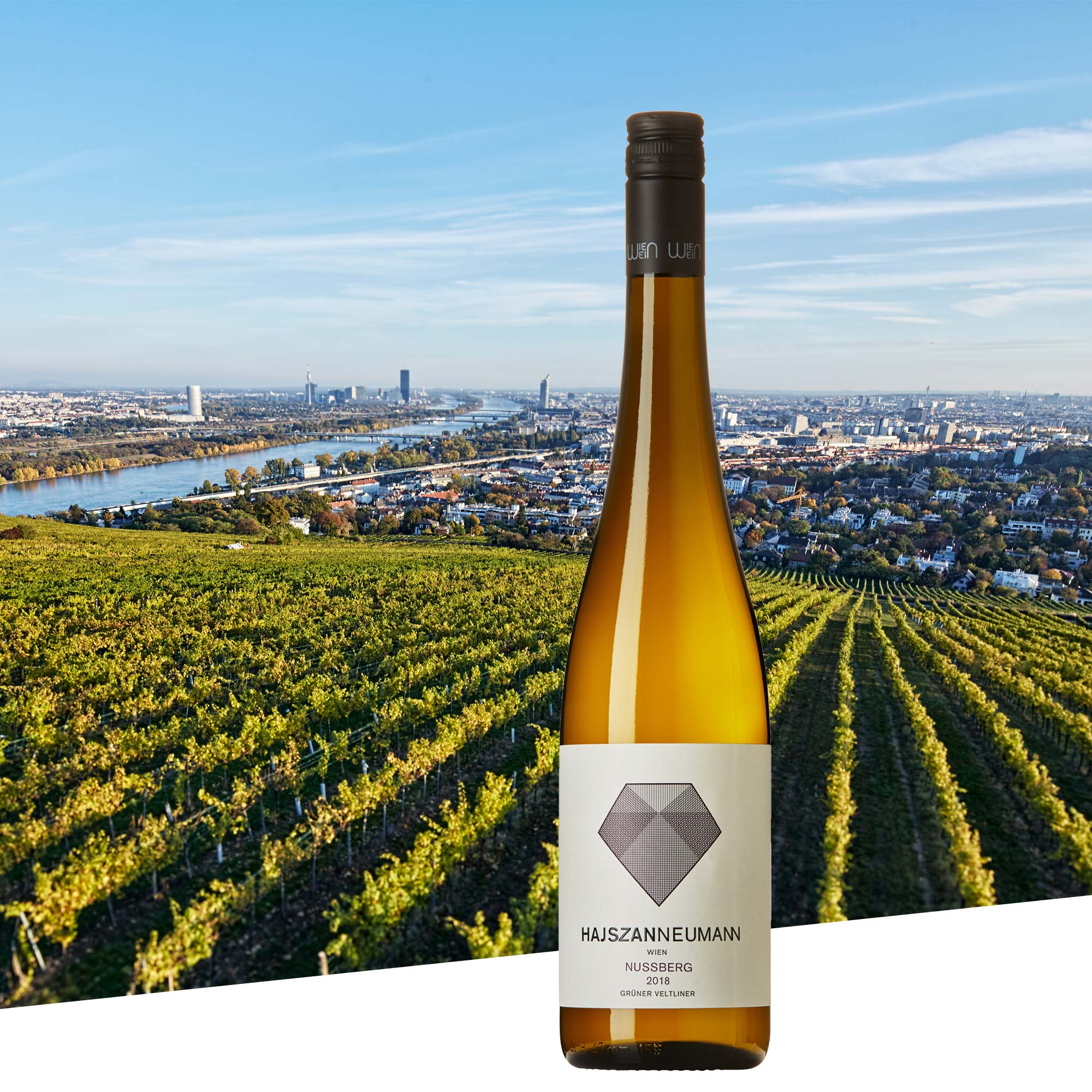 Veltliner Nussberg | Weingut Hajszan Neumann
