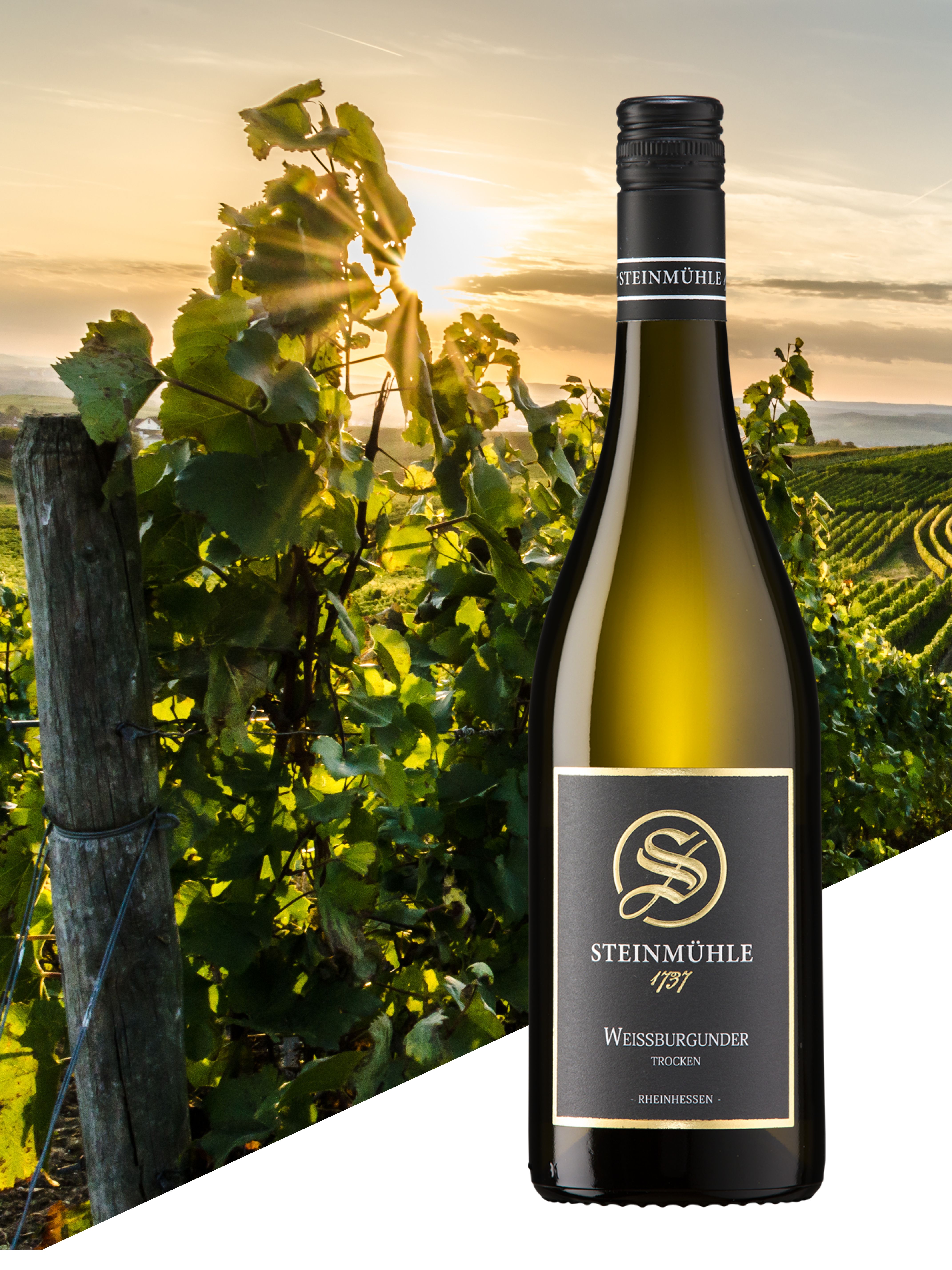 Weißburgunder 2024, trocken, Weingut Steinmühle