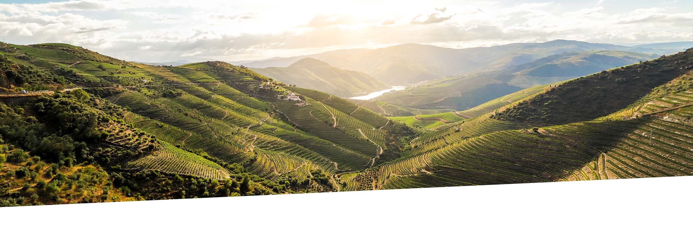 Header-Douro