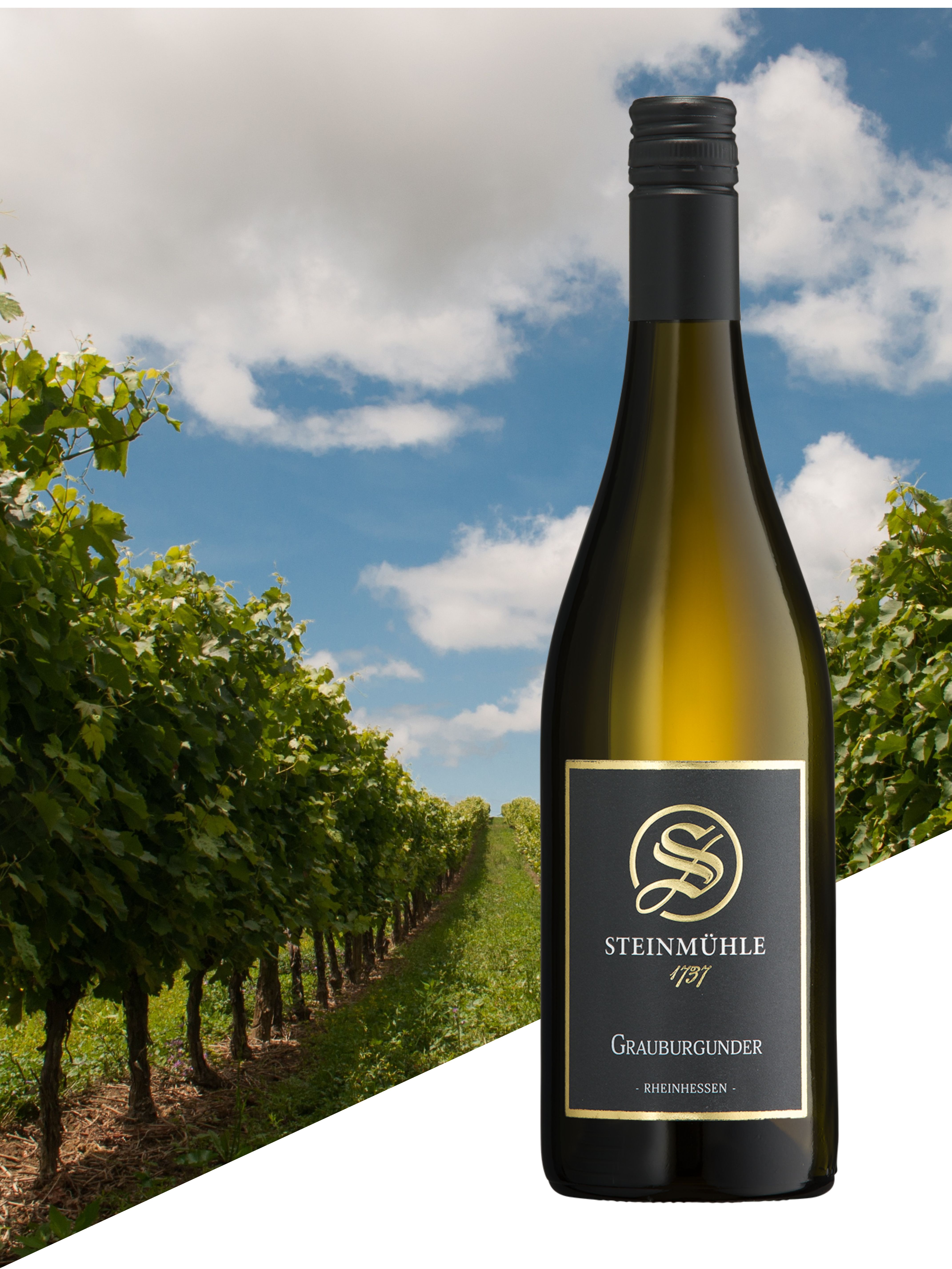 Grauburgunder 2024, trocken, Weingut Steinmühle 