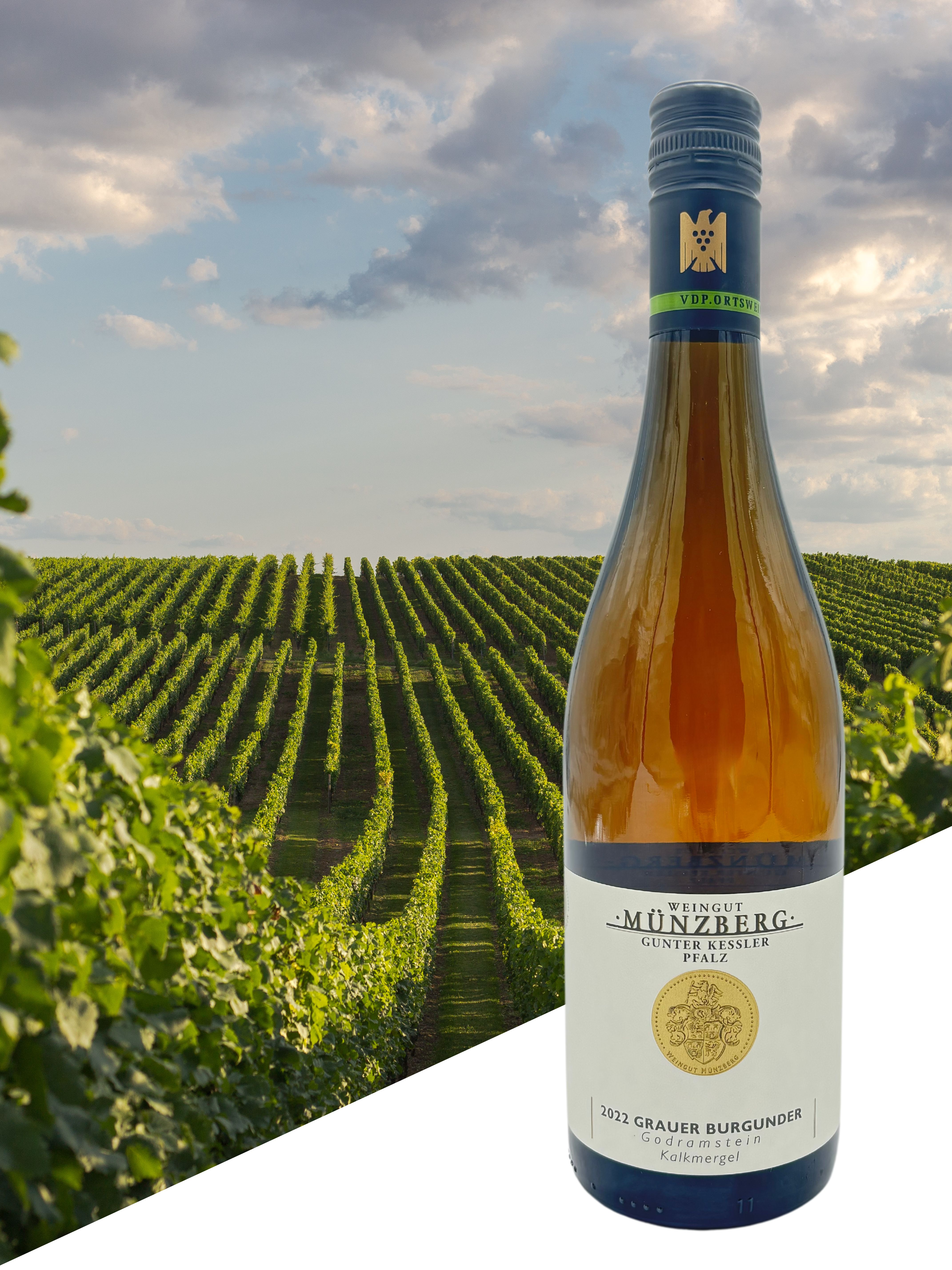 Grauer Burgunder Goldramstein Kalkmergel, Weingut Münzberg