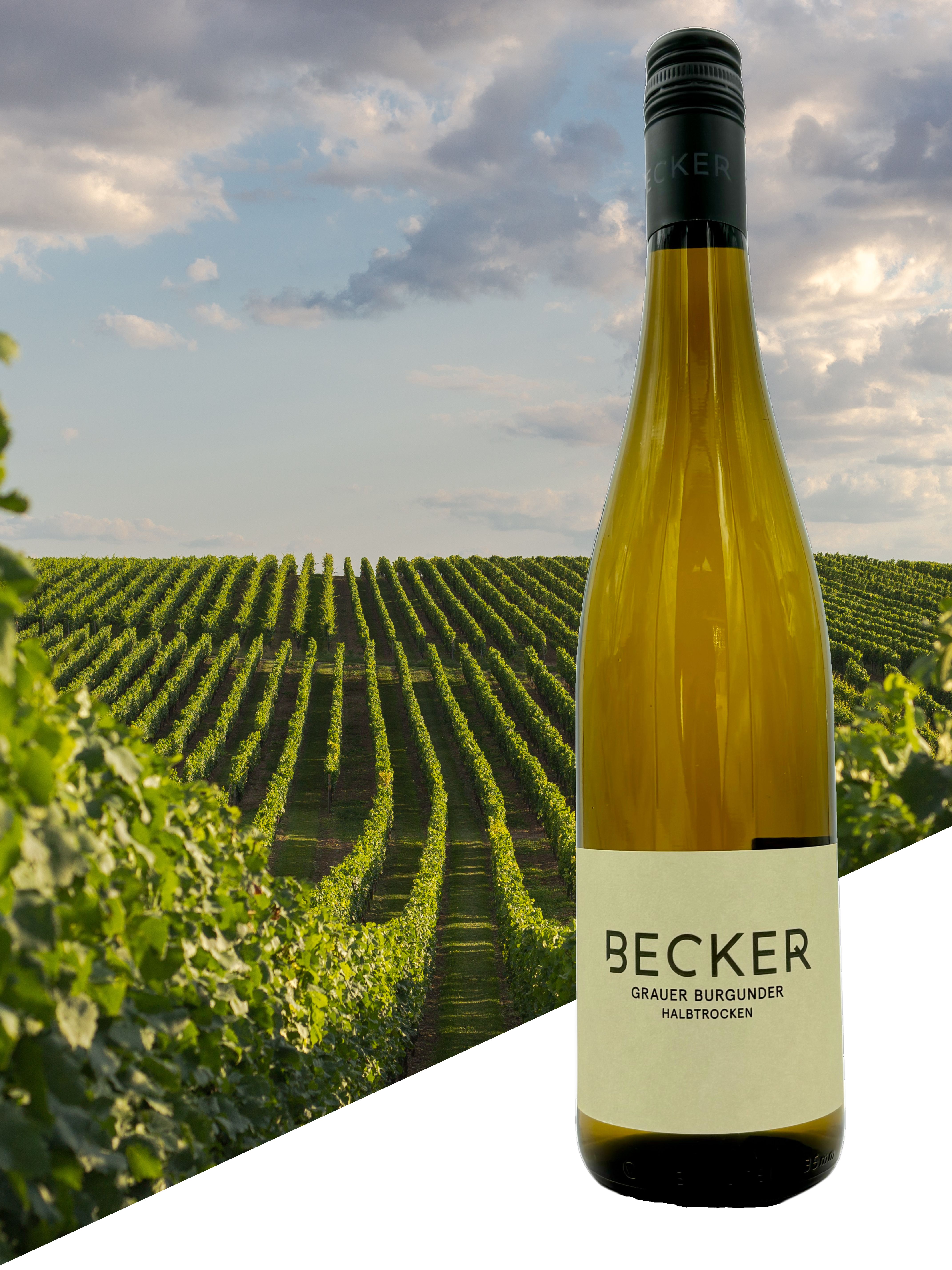 Grauer Burgunder - Weingut Becker, halbtrocken